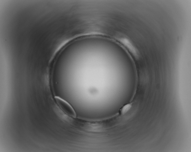 X0000114441460200910161345
