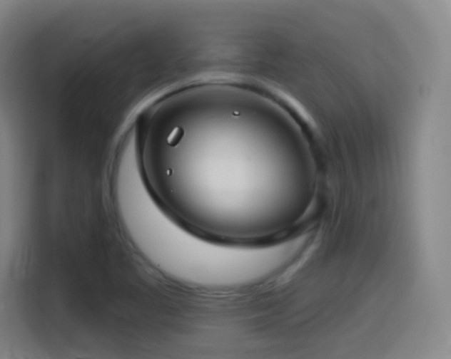 X0000114441461200910161345