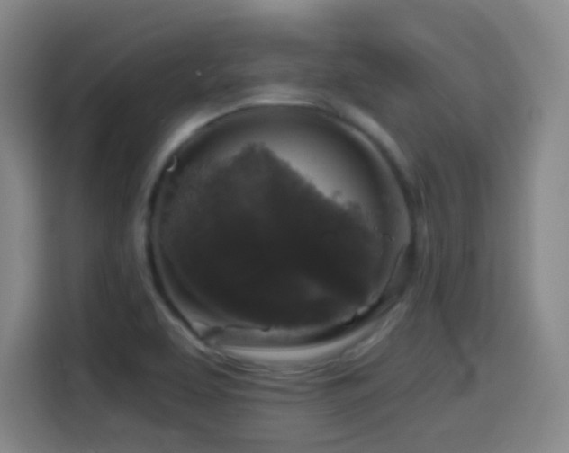 X0000114441463200910161345