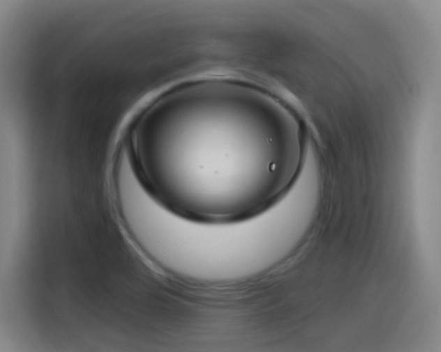 X0000114441464200910161345