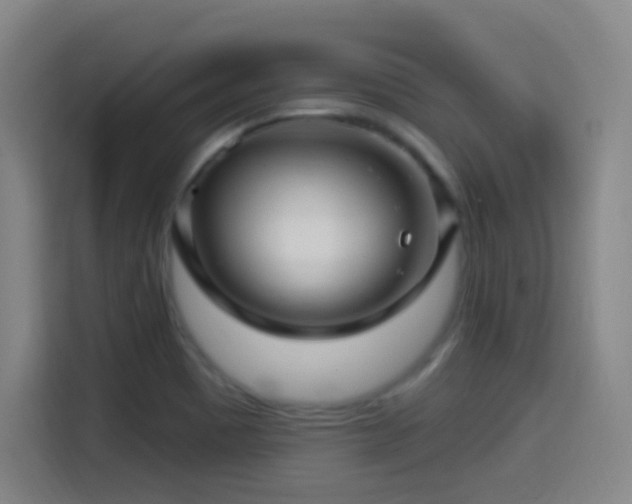 X0000114441465200910161345