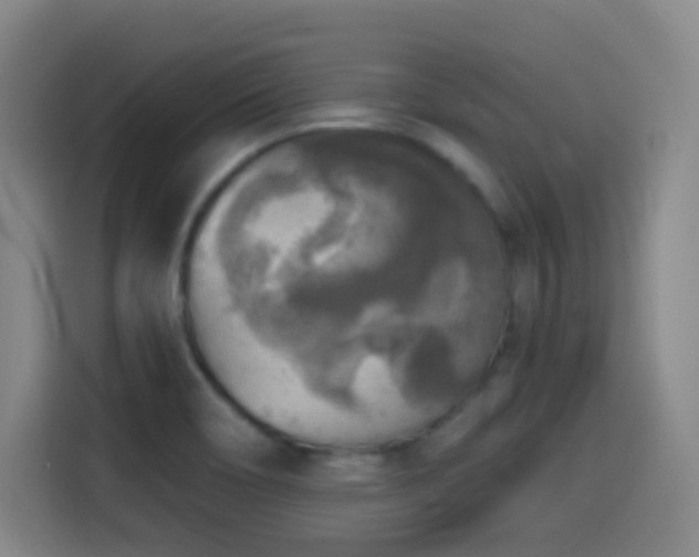 X0000114441466200910161345