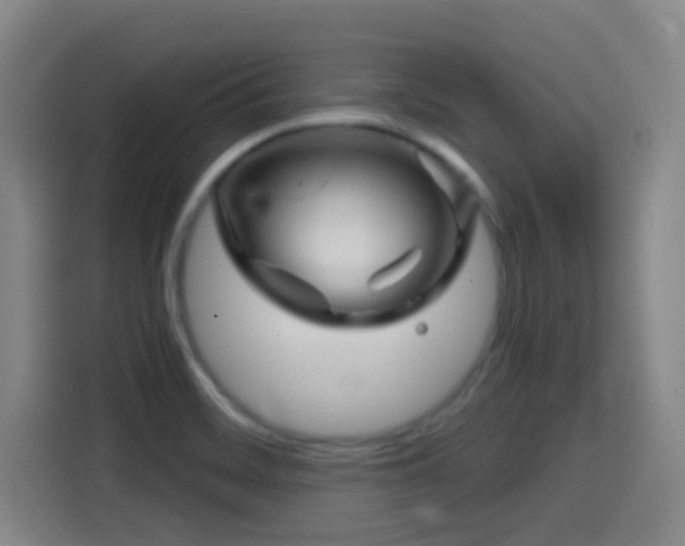 X0000114441468200910161345