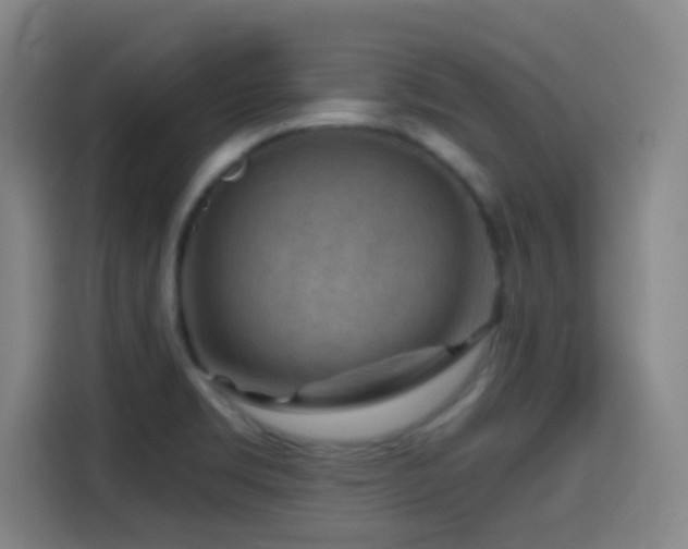 X0000114441469200910161345