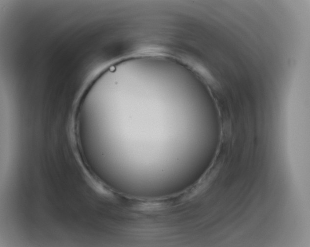 X0000114441470200910161345