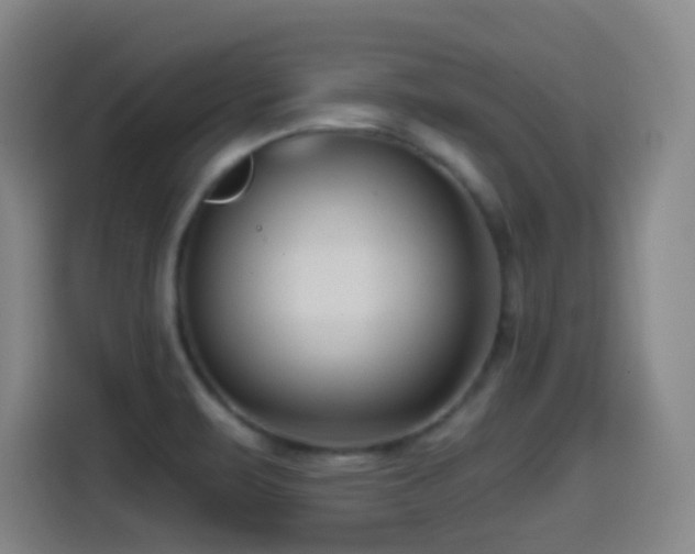 X0000114441471200910161345