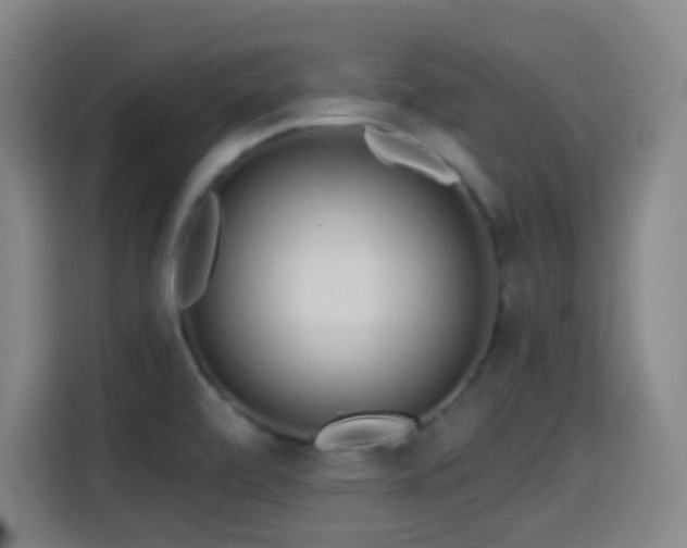 X0000114441472200910161345