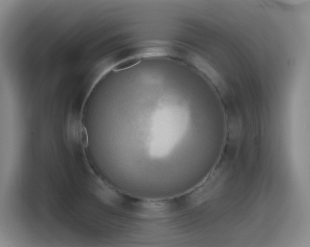 X0000114441473200910161345