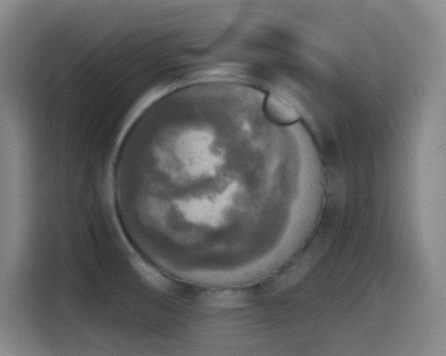 X0000114441474200910161345