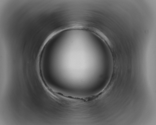 X0000114441475200910161345