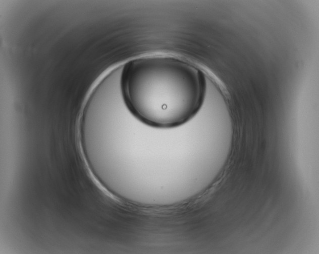 X0000114441476200910161345