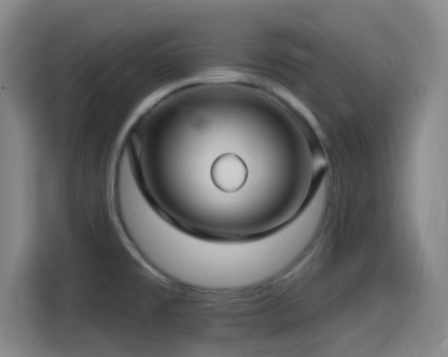 X0000114441477200910161345
