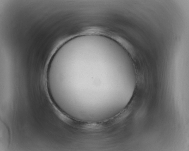 X0000114441478200910161345