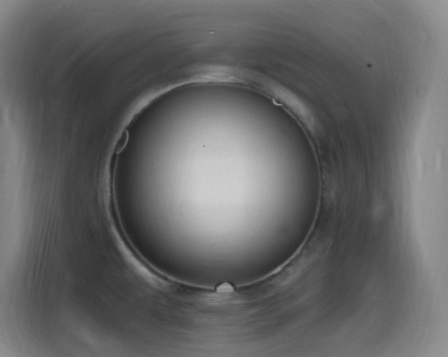 X0000114441479200910161345