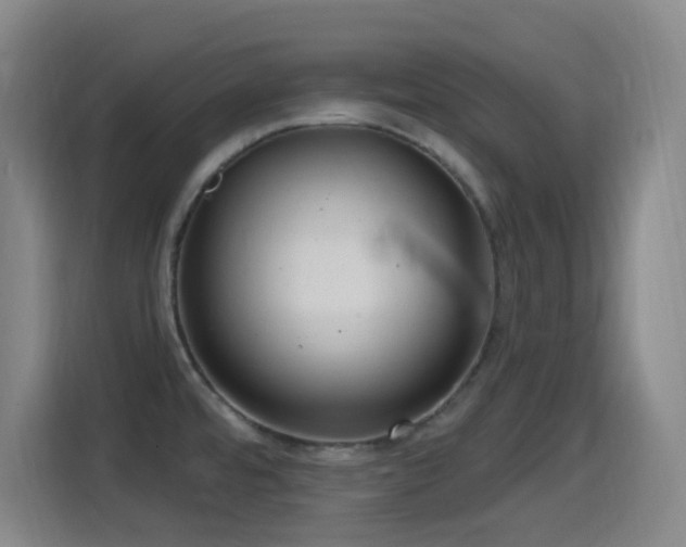 X0000114441480200910161345