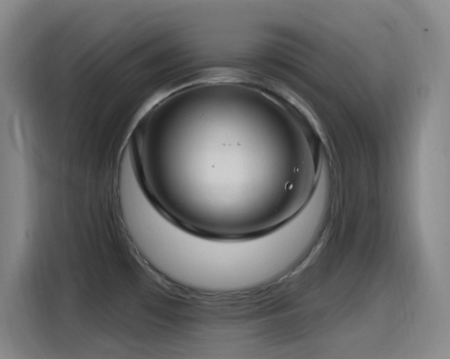 X0000114441481200910161345