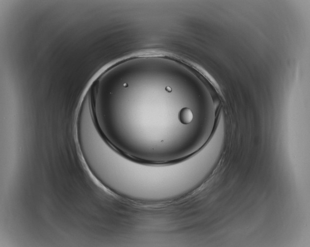 X0000114441484200910161345