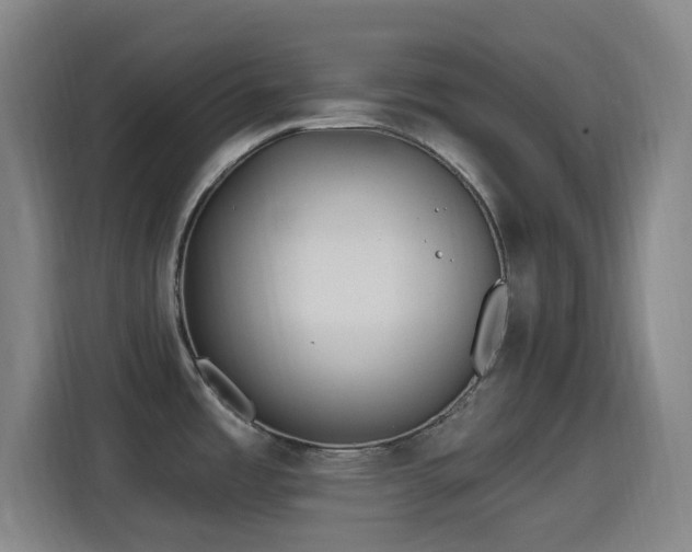 X0000114441485200910161345