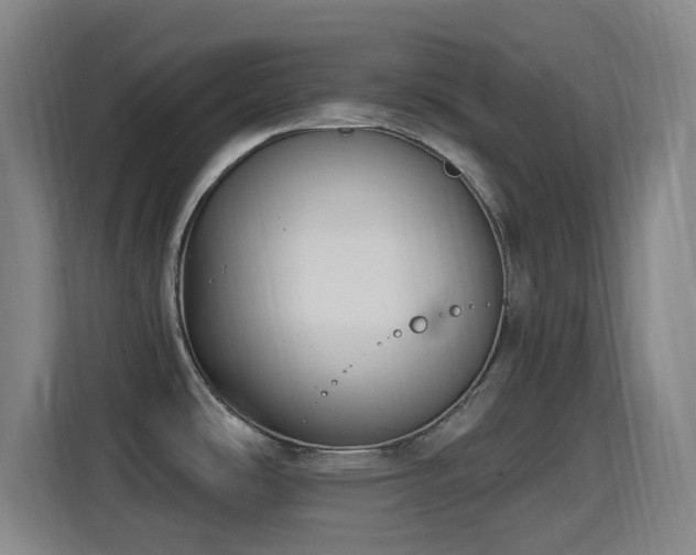 X0000114441486200910161345