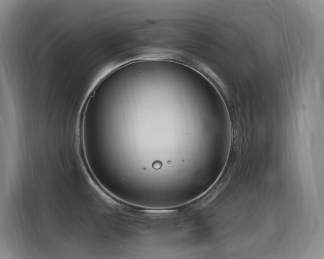 X0000114441487200910161345