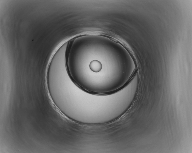 X0000114441488200910161345