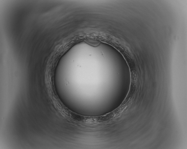 X0000114441489200910161344