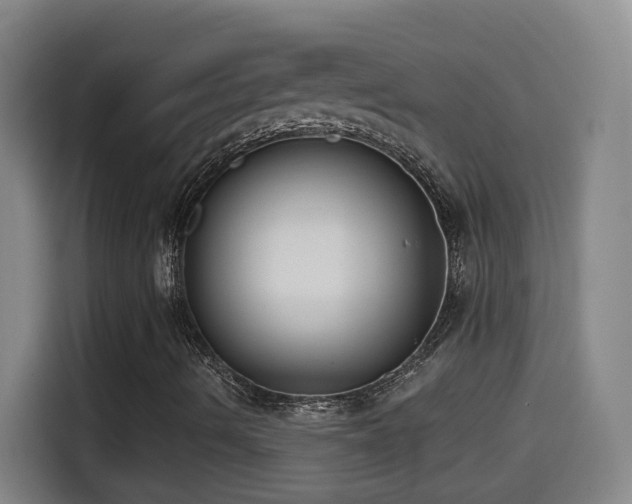 X0000114441490200910161344