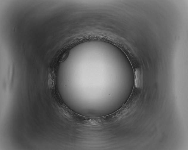 X0000114441491200910161344