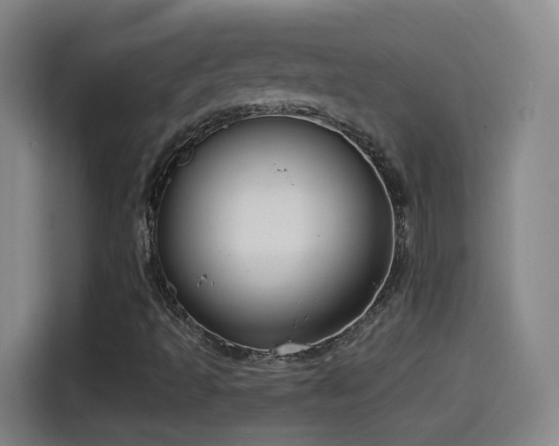 X0000114441493200910161344