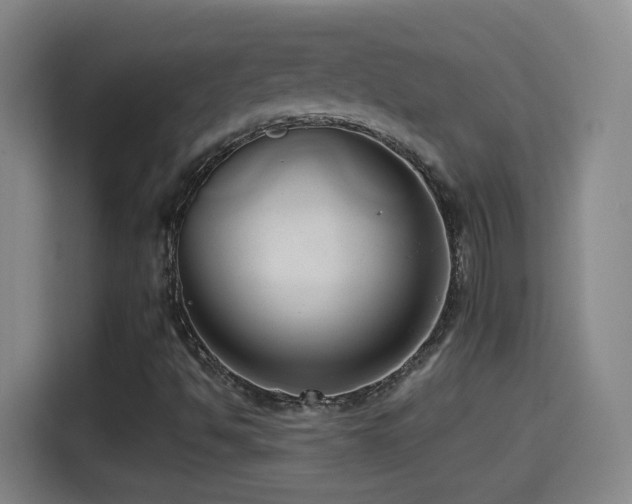 X0000114441494200910161344