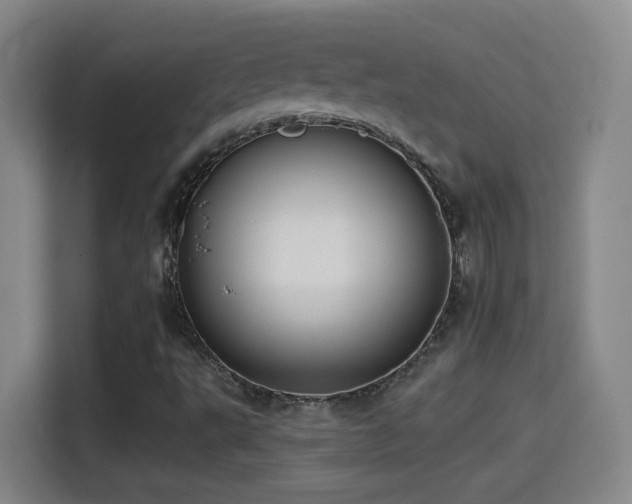 X0000114441495200910161344