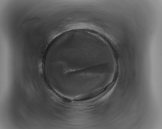 X0000114441497200910161344