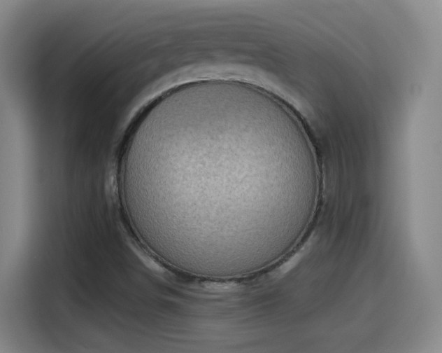 X0000114441498200910161344