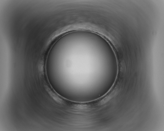 X0000114441499200910161345