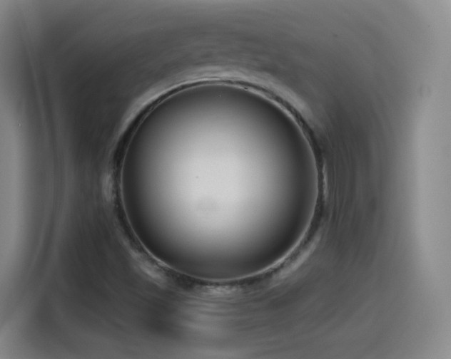 X0000114441501200910161345