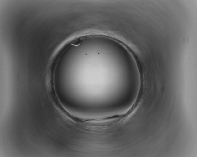 X0000114441502200910161345