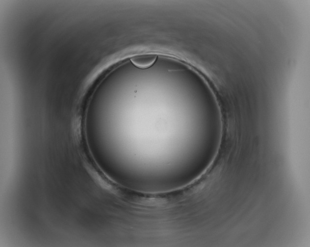 X0000114441503200910161345