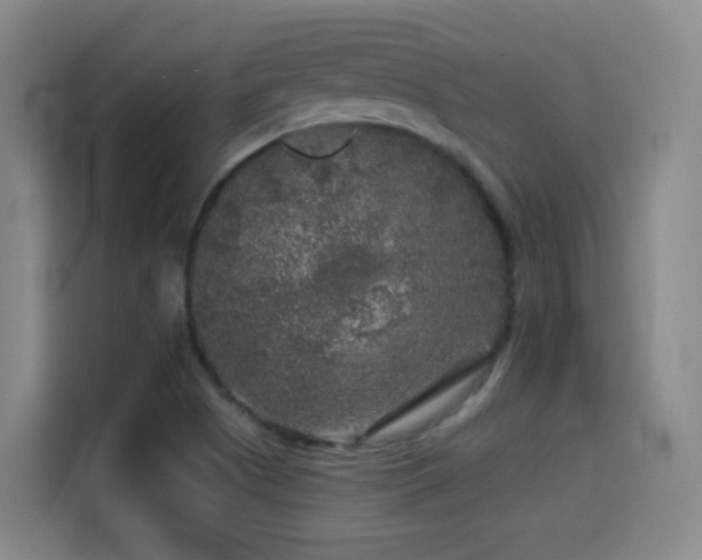 X0000114441505200910161345