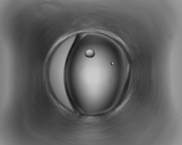 X0000114441506200910161345