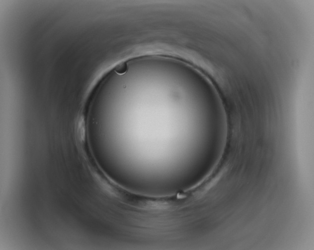 X0000114441509200910161345