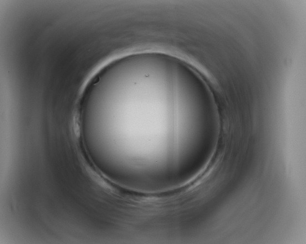 X0000114441510200910161345