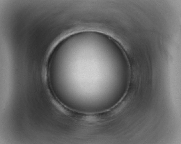 X0000114441511200910161345