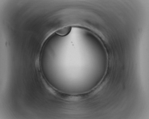 X0000114441513200910161345