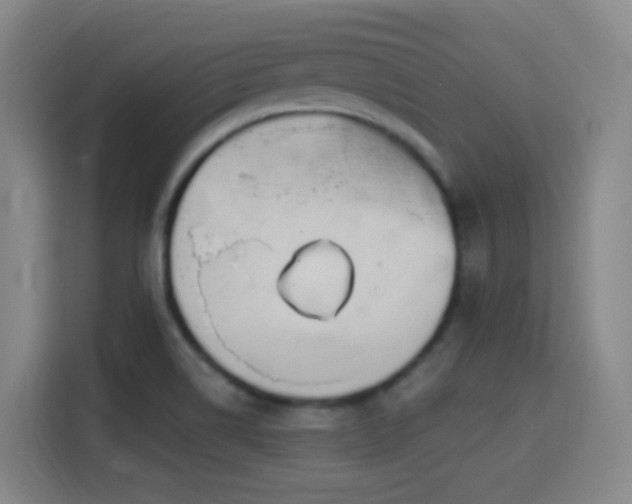 X0000114441514200910161345