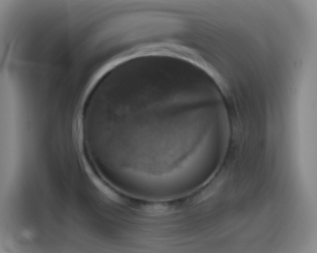 X0000114441515200910161345