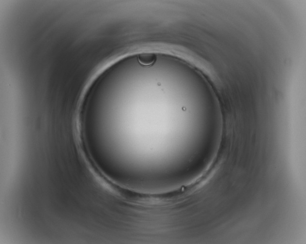 X0000114441517200910161345