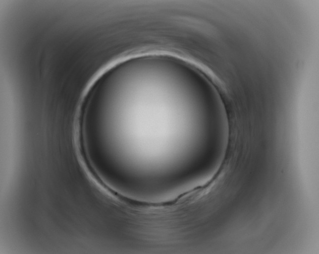 X0000114441518200910161345