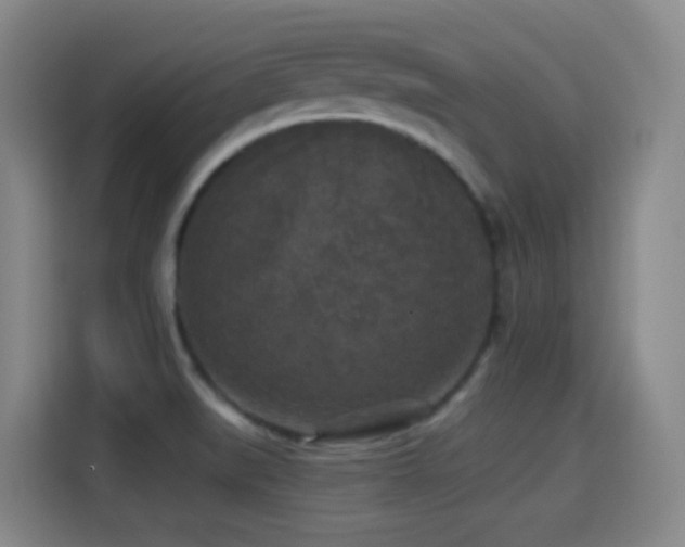 X0000114441519200910161345