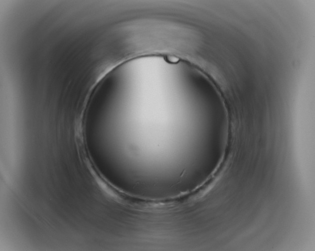 X0000114441521200910161345