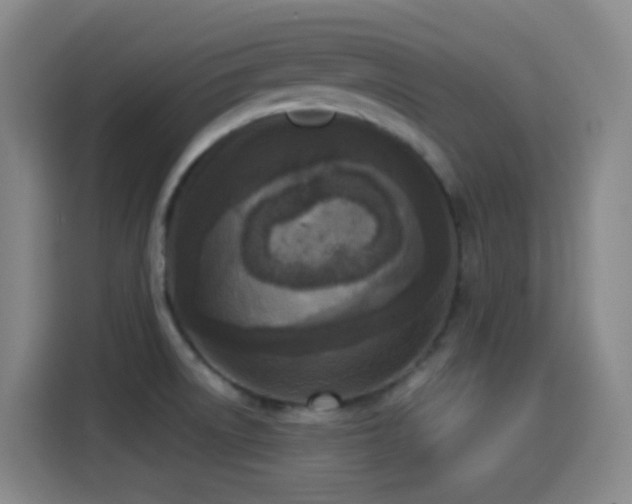 X0000114441522200910161345